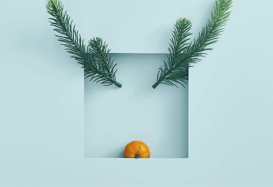 Christmas tree leaves in blue background