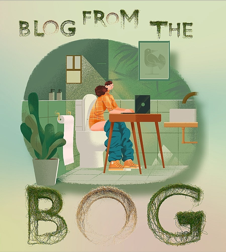 Blog on the Bog lady sitting on toilet and writing illustration